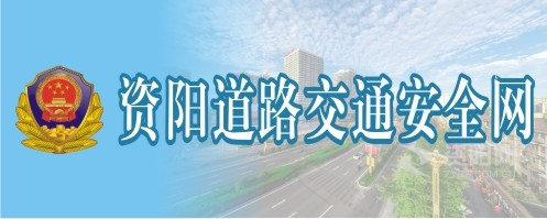 女人骚屄资阳道路交通安全网